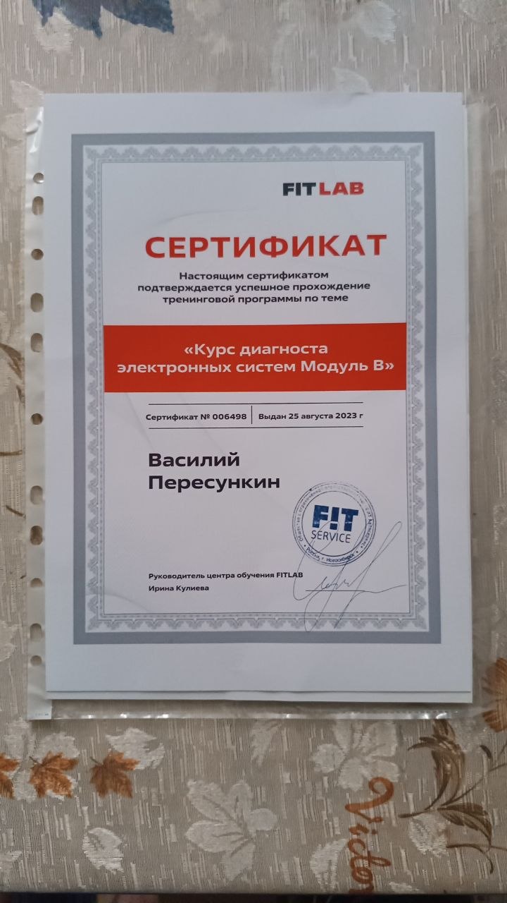 Фотография сертификата о профильном обучении